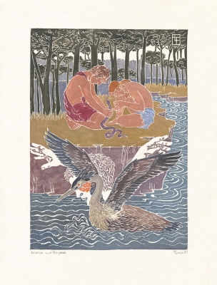 Ovid Metamorphosen: Aisacos und Hesperie Ovid Metamorphosen: Aisacos und Hesperie