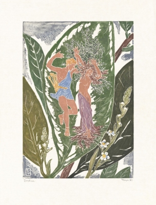 Ovid Metamorphosen: Daphne Ovid Metamorphosen: Daphne